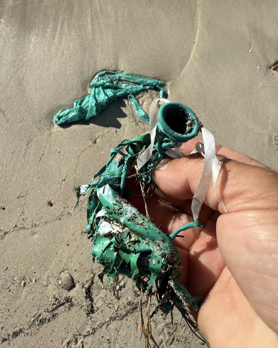 plasticfreeit's tweet photo. Biodegradable balloons still pollute and harm wildlife. Dispose of them properly and sign our petition to stop balloon releases: https://t.co/EtN8BvcMyp
#stopballoons #plasticfree https://t.co/7gmzho9dmr