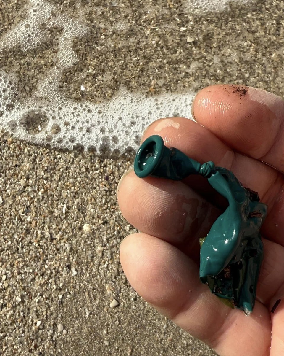 plasticfreeit's tweet photo. Biodegradable balloons still pollute and harm wildlife. Dispose of them properly and sign our petition to stop balloon releases: https://t.co/EtN8BvcMyp
#stopballoons #plasticfree https://t.co/7gmzho9dmr