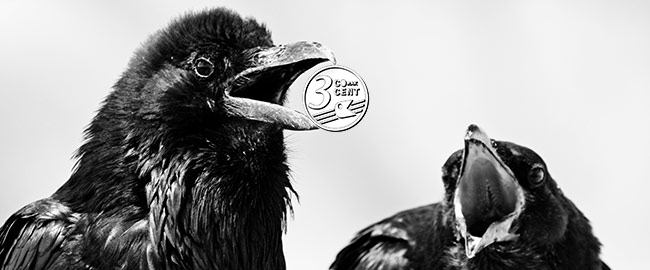 Radio CORAX tweet media