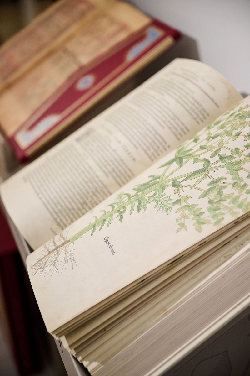 🇮🇹🇪🇺| Un grande ringraziamento per l’ampia partecipazione all’evento “Quando l’arte serviva a curare” ospitato dall’Amb. Verrecchia e per la donazione a <a href="/ItalyinEU/">Italy 🇮🇹 in EU</a> di bellissime riproduzioni di erbari antichi 🪴 di <a href="/AbocaIT/">Aboca Italia</a> #OneHealth