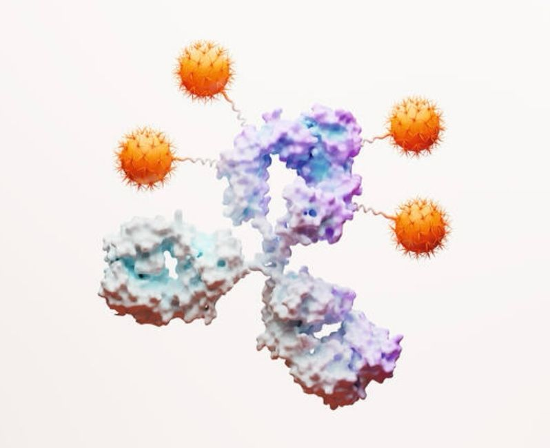Excited to share the news of our recently executed option agreement with Duality Biologics. This partnership builds on our growing ambition in oncology and strengthens our ADC portfolio with a potential best-in-class candidate for gastrointestinal cancers.