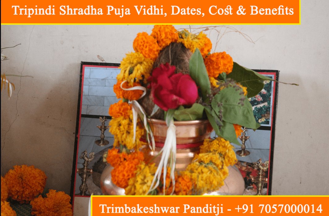 TrimbakeshwarP4's tweet photo. Interested in performing Tripindi Shradh Puja? Learn all about the traditional ritual, important dates, estimated costs, and the spiritual benefits it can bring. #HinduCeremony #Educational #nashik #pune #puja #spiritual 
Website:https://t.co/42N3BesmqB https://t.co/KbVH1wr8fF