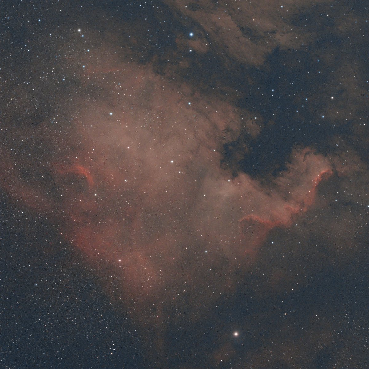 3 hours of exposure on the North American Nebula, need a bigger astro camera to fit in the surrounding area ;(