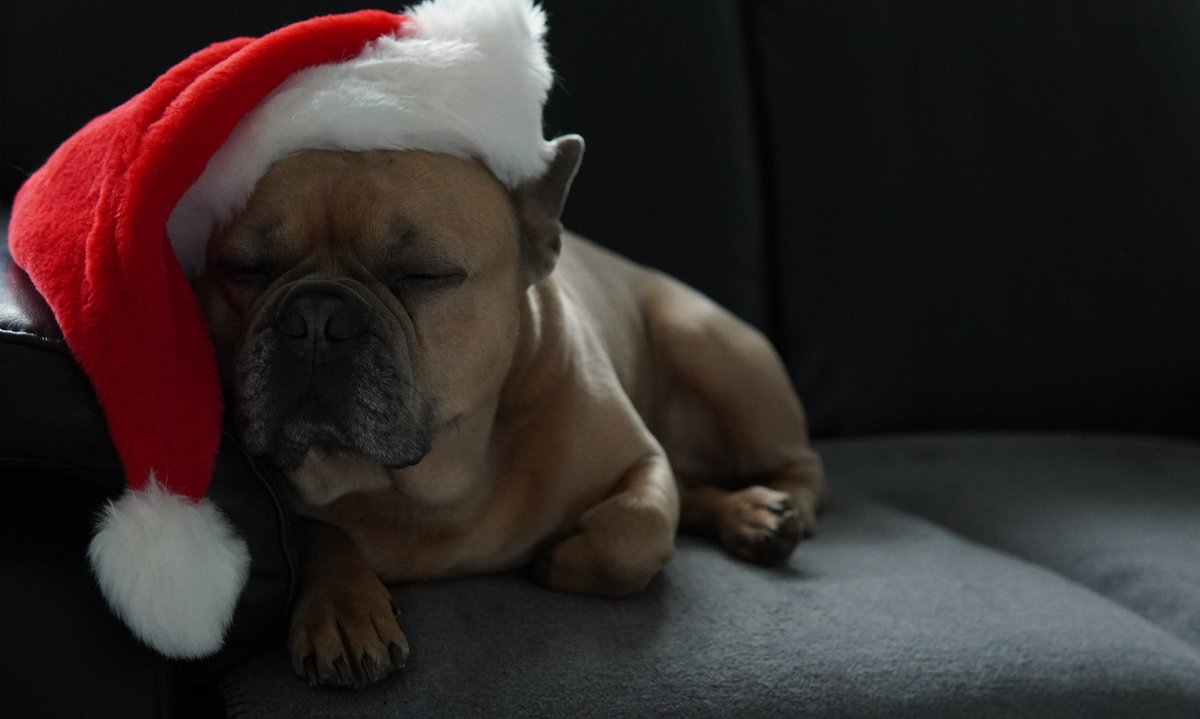 🎄Weihnachtspäuschen🎄
Vom 23.12. - 01.01.2025 gönnen wir uns eine kleine Pause, um die Weihnachtszeit zu genießen und neue Energie zu tanken. 
Ab dem 2. Januar sind wir wieder voller Tatendrang für euch da!
In dringenden Fällen könnt ihr euch an support@manywaysout.de wenden.