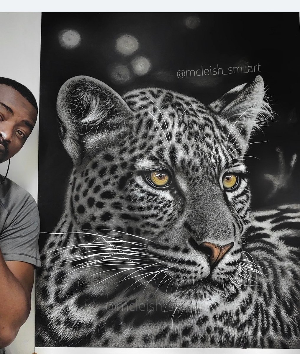 I hope some day the internet will carry my Wildlife drawings further than I thought possible...