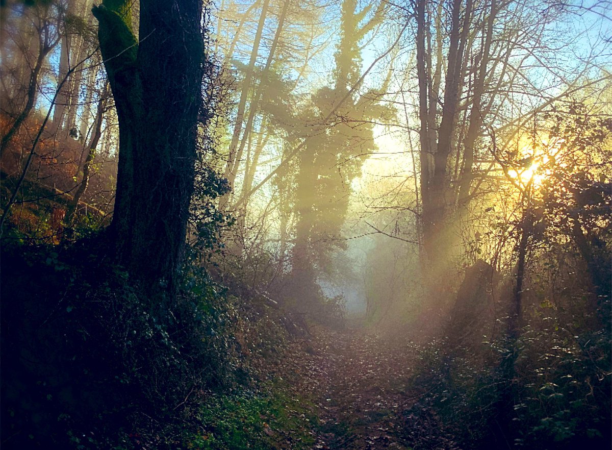 A holloway so thick with atmosphere that I had to slice my way through.
#HollowayWednesday