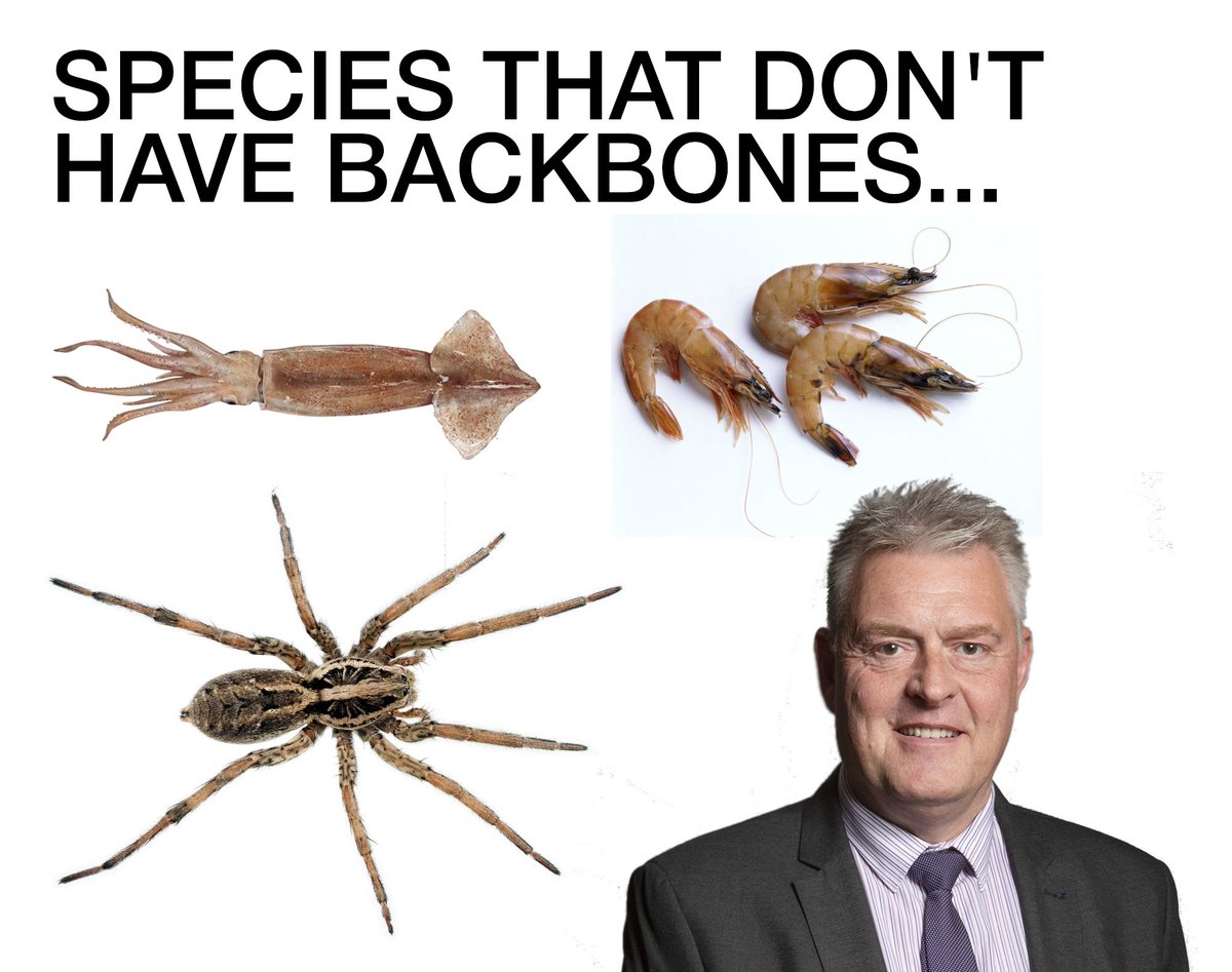 Reform Party UK Exposed 🇬🇧 tweet media