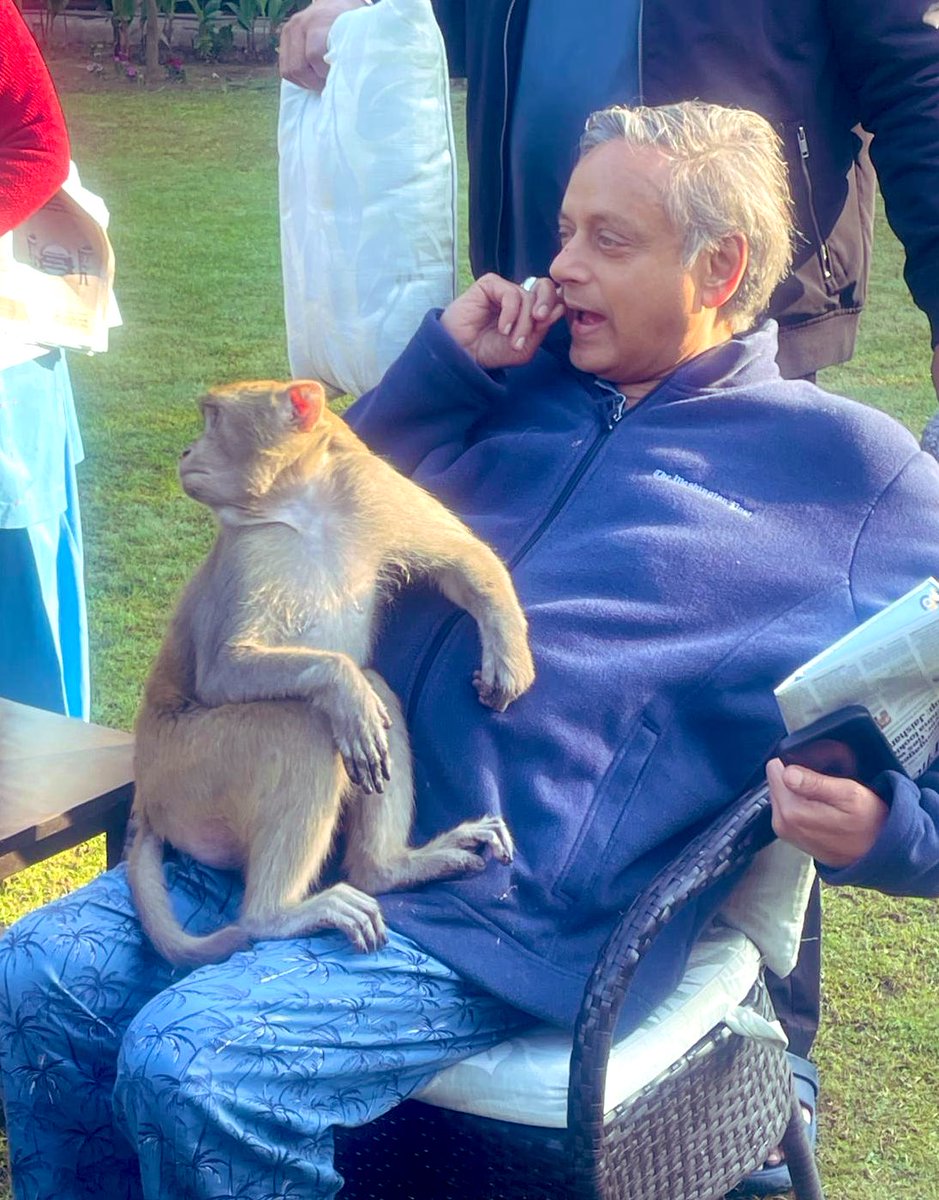 ShashiTharoor's tweet image. Had an extraordinary experience today. While i was sitting in the garden, reading my morning newspapers, a monkey wandered in, headed straight for me and parked himself on my lap. He hungrily ate a couple of bananas we offered him, hugged me and proceeded to rest his head on my…