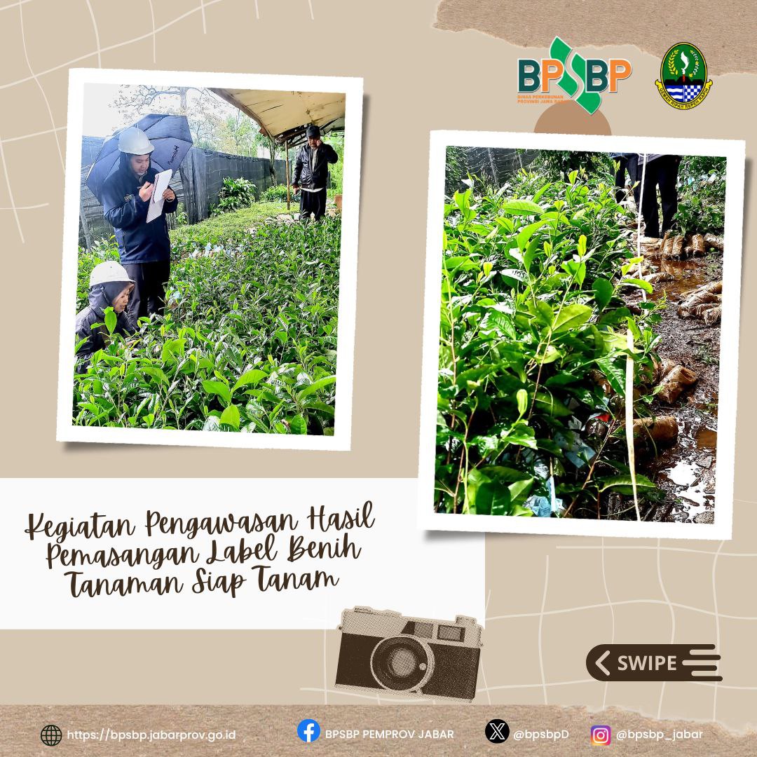 BPSBP.DisbunJabar tweet media