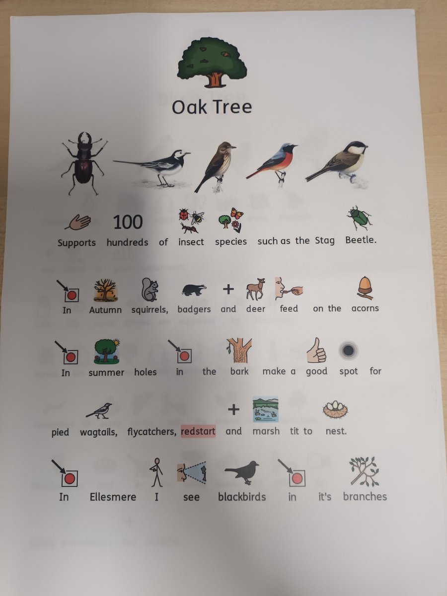 EllesmerePost16's tweet photo. We've got a few young oak trees on our site which is great because they support more life than any  other native tree species in the UK; even its fallen leaves support biodiversity @woodlandtrust https://t.co/pAbYPvGhlS