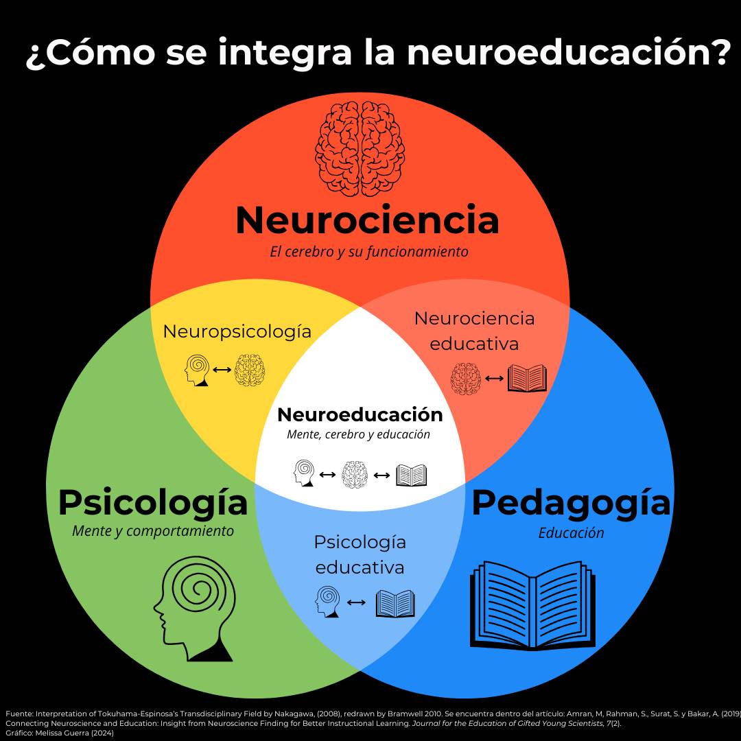 Neurociencia 

Dentro de nuestro cerebro ocurren muchos procesos y emociones que permiten u obstaculizan el aprendizaje

El funcionamiento del cerebro durante los procesos de aprendizaje es un campo fascinante de la neurociencia aplicada

observatorio.tec.mx/edu-news/la-ne…