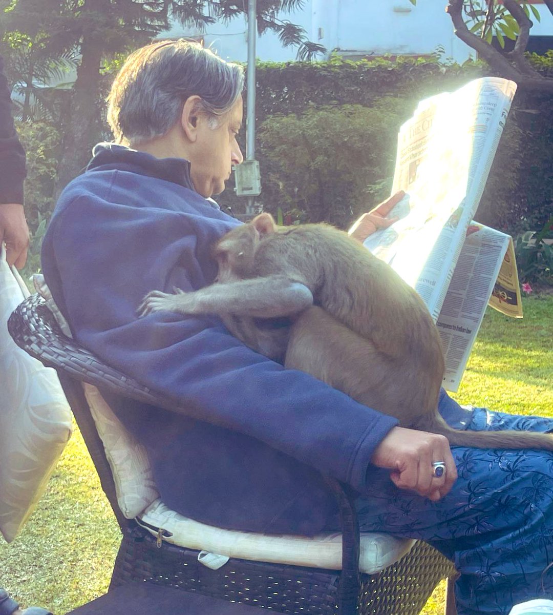 Shashi Tharoor tweet media