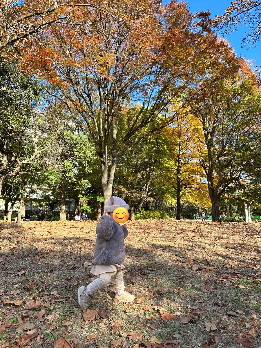 gorilin0202's tweet photo. 秋晴れのナイスPhoto https://t.co/MNLkZIcnpo