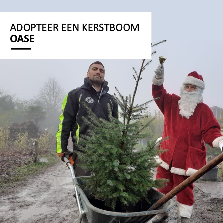 Tijd om de warmte in huis te halen met een kerstboom. 🎄Ga voor een duurzame kerst door jouw kerstboom te adopteren. Niet voor eenmalig gebruik, maar om na de feestdagen weer terug te geven aan de natuur. 🌍💚

📅 zaterdag 7 &amp; 14 december
⏰ 11:00 - 17:00 uur
📍OASE De Kade