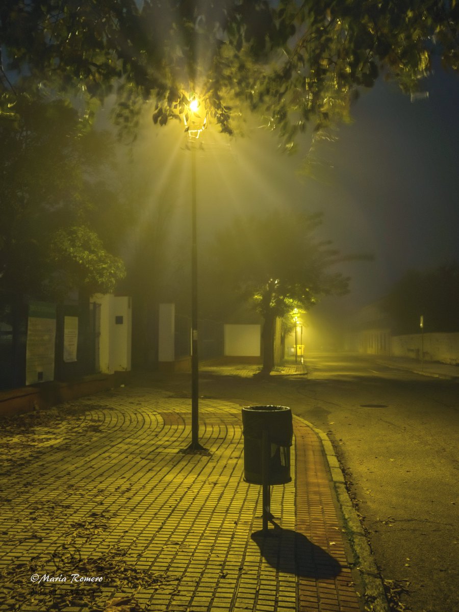 madorobla's tweet photo. 🍂#Azuaga 04/12 
El amanecer de hoy llegó envuelto en un manto de niebla, dejando un paisaje sereno y misterioso.
@davidlopezrey @tiempobrasero @ondacerosurextr 
#otoño2024 #tiempoextremadura https://t.co/BnzgZfQMO6
