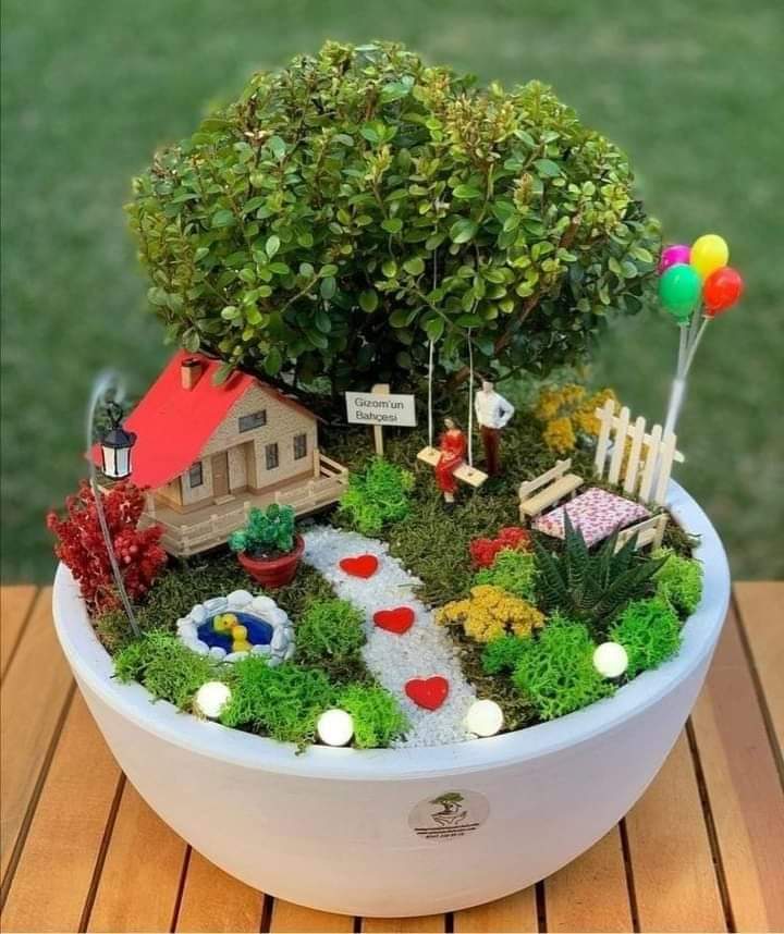 earth beauty tweet media