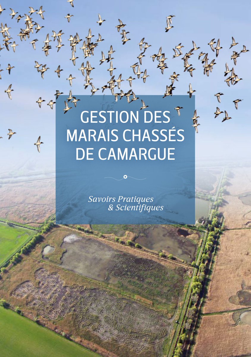 Tour du valat (@tourduvalat) on Twitter photo 📗 L’ouvrage collectif de partage d’expériences « Gestion des marais chassés de Camargue, Savoirs pratiques & scientifiques » est paru le 2 décembre 2024.
🔗 Téléchargez l’ouvrage sur notre site : vist.ly/3mn2597
<a href="/OFBiodiversite/">Office français de la biodiversité</a> <a href="/CNRS/">CNRS 🌍</a> <a href="/EPHE_PSL/">École Pratique des Hautes Études - PSL</a> 📗 L’ouvrage collectif de partage d’expériences « Gestion des marais chassés de Camargue, Savoirs pratiques & scientifiques » est paru le 2 décembre 2024.
🔗 Téléchargez l’ouvrage sur notre site : vist.ly/3mn2597
<a href="/OFBiodiversite/">Office français de la biodiversité</a> <a href="/CNRS/">CNRS 🌍</a> <a href="/EPHE_PSL/">École Pratique des Hautes Études - PSL</a>