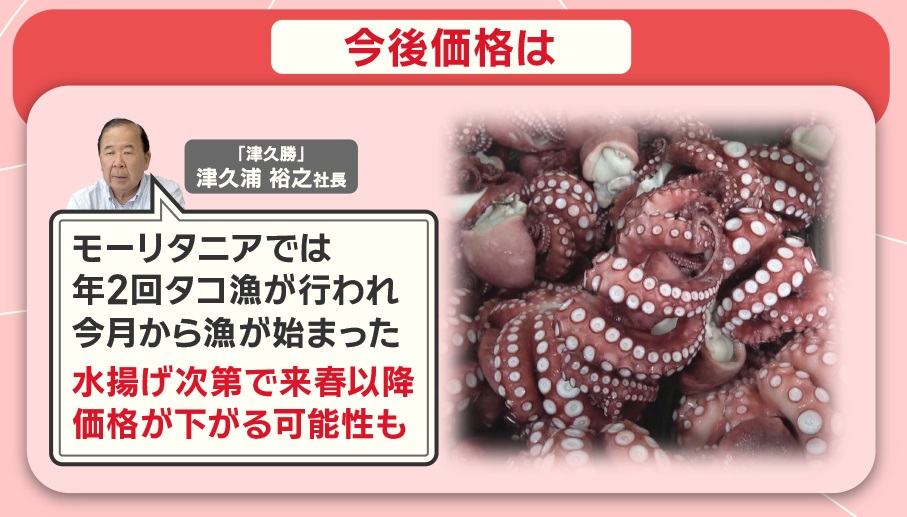今後タコの価格はどうなるのでしょうか？ 海外産のタコを輸入・加工