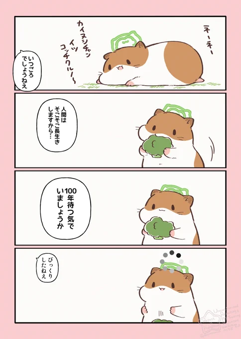 ハムスターと天国の面接 おなじ時間、違ういのち 
