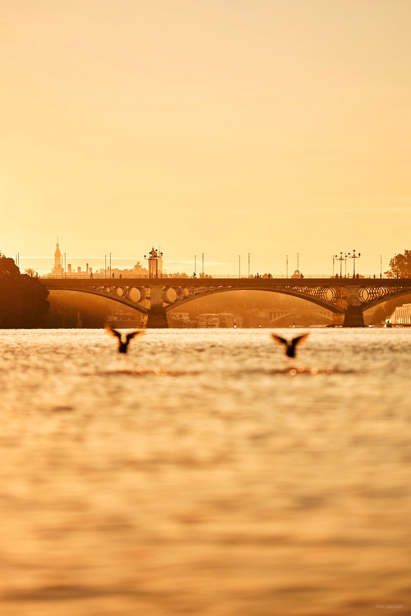 Amanece en la ciudad de Sevilla.