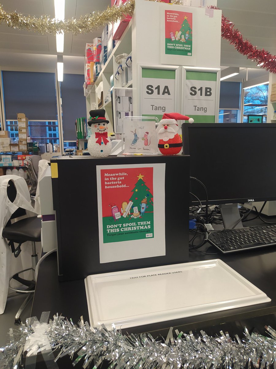 Tabea Elsener (@tabeaelsener) on Twitter photo I was given the task to decorate the lab. You're welcome. I was given the task to decorate the lab. You're welcome.