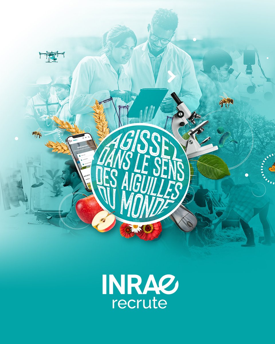 [#emploi] Devenez chargé-e de ressources documentaires au sein de la direction scientifique 🔬agriculture 🌱, sur notre site de Lusignan <a href="/Grand_Poitiers/">Grand Poitiers</a> (desservi par le bus 36), pour 13 mois dès que possible jobs.inrae.fr/ot-23246 #job #emploi #recrutement #Grazing4AgroEcology