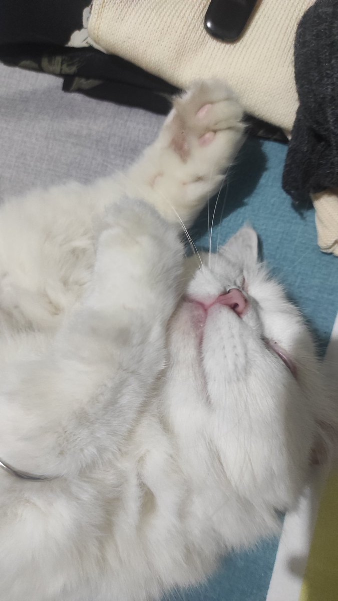 Bandung hujan dan dingin? Turu solusinya 💤