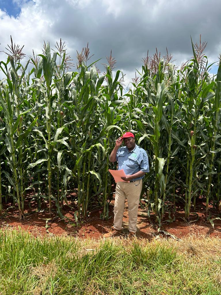 R-Leaf puts new spin on nitrogen use via <a href="/africanfarming_/">African Farming</a> africanfarming.com/2024/11/19/r-l…