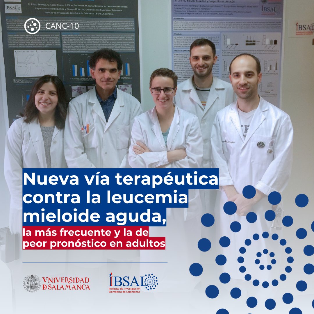 IBSAL_IIS's tweet photo. Un nuevo estudio del @IBSAL_IIS y la @usal, con la colaboración del Servicio de Hematología del #CAUSA, demuestra la eficacia de una nueva estrategia terapéutica contra la leucemia mieloide aguda 🧫🩸, la más frecuente en adultos y la de peor pronóstico. 

https://t.co/NhgPnNN4Ce https://t.co/n8sIeg4UCy