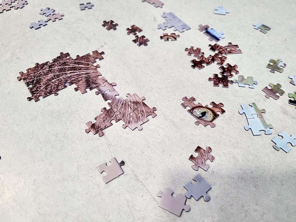 JohnInnesCentre's tweet image. Today we have a VERY special #WhatIsIt Wednesday 💭🧐

Yesterday was “Tech Timeout” - Digital Wellbeing Day where colleagues were encouraged to take a step back from technology for a day and help complete some communal jigsaws! 💻 🧩

Any idea what this one may be?

#LifeAtJIC