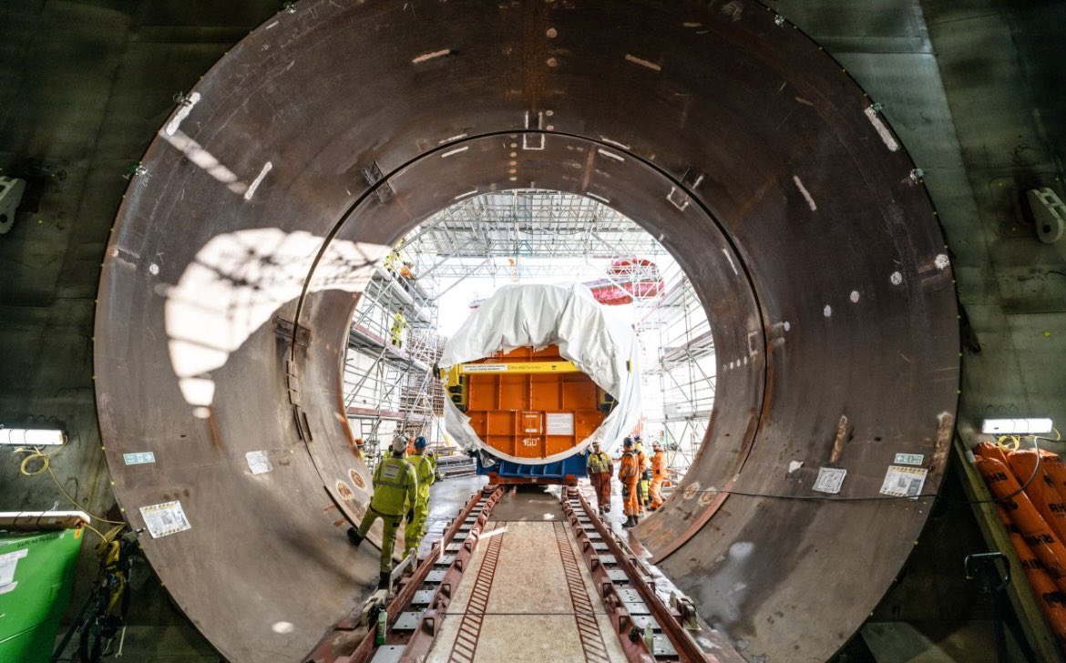 Zion Lights tweet media