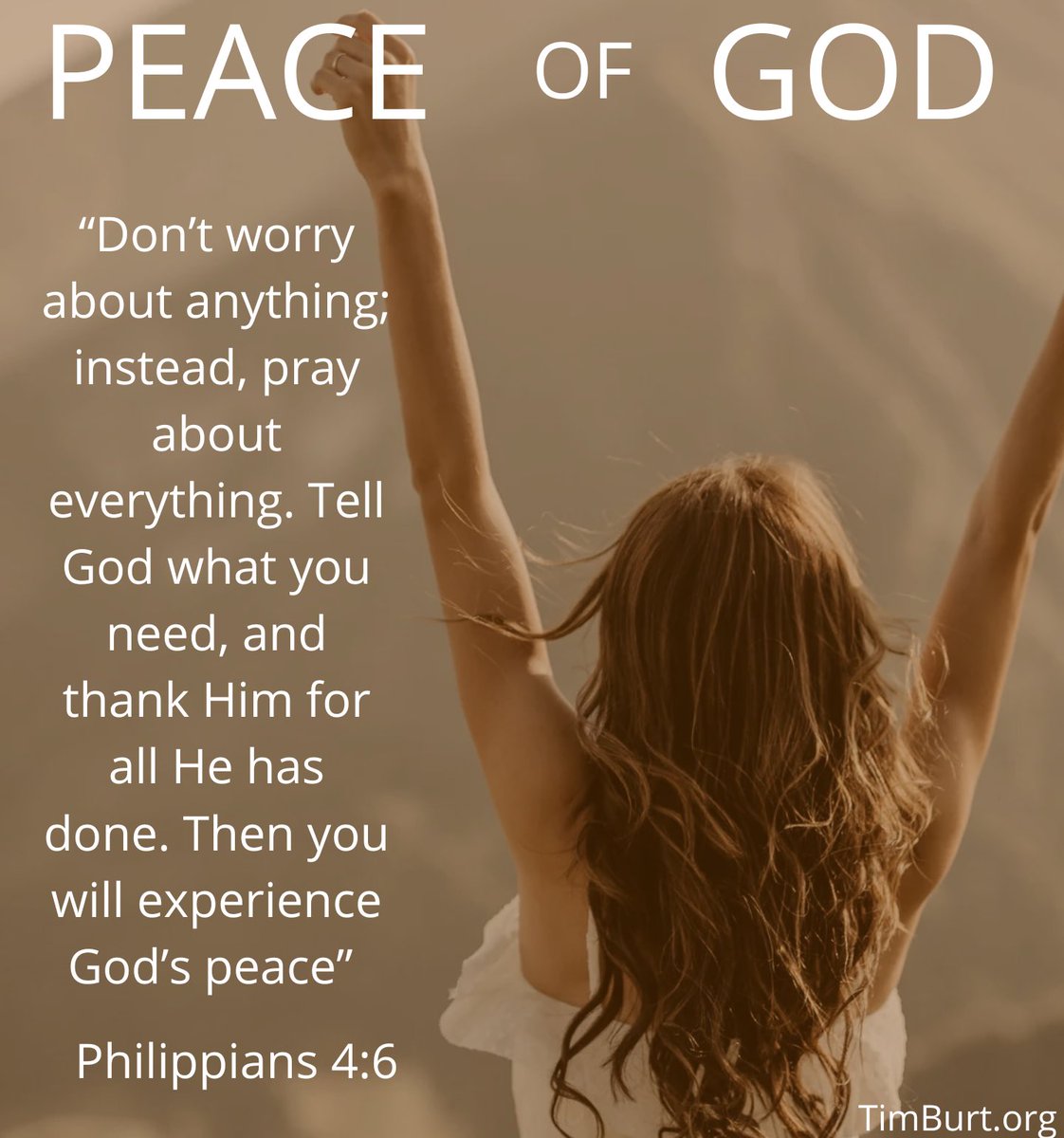 Timothy Burt tweet media