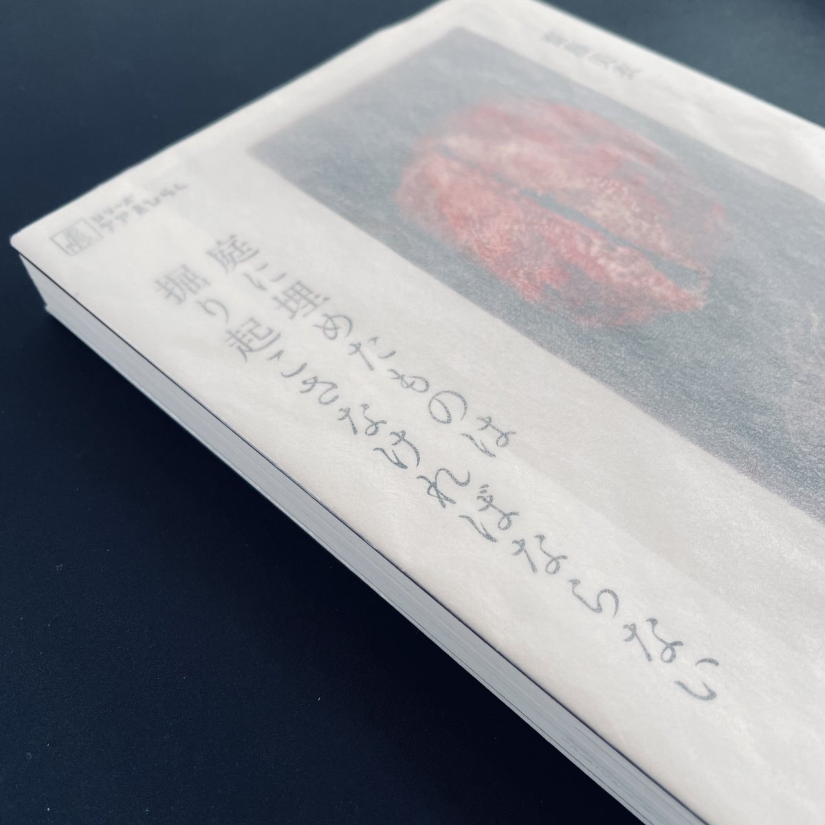 再読に値しない書物は初読にも値しない。積ん読の山を横目に三度読み、ようやく書く勇気を奮い起こしたのは、著者が「書く」ことをとおして自分という水底へ潜っていった営みに衝き動かされたからか。

#読了

齋藤美衣『庭に埋めたものは掘り起こさなければならない』
note.com/dejavudelmar/n…
