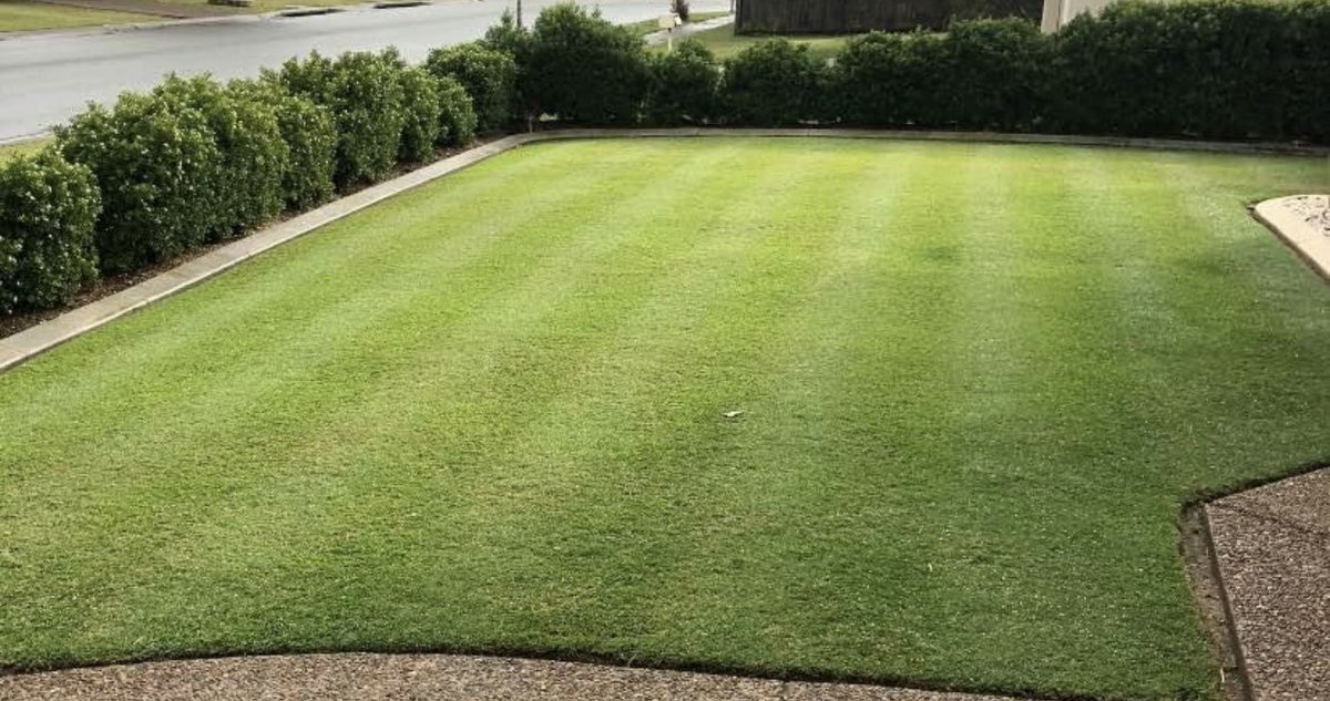 Nothing beats the presentation of a beautifully crafted Cylinder Cut Lawn.

#BeautifulLawns #CylinderMowers #LawnCare