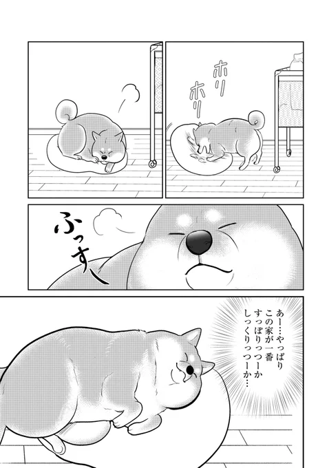 犬が帰宅してまずやるこの動き だいすき🐶 