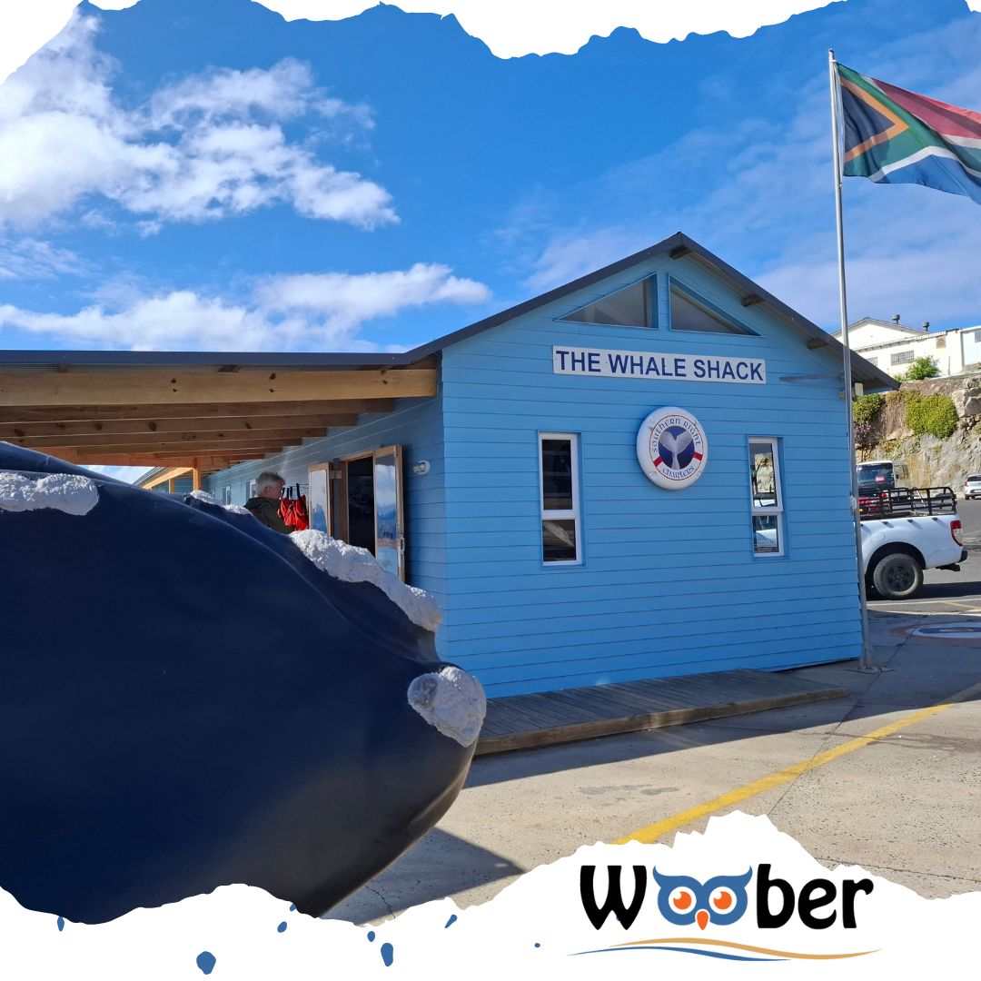 GRC_Tours's tweet photo. Whale watching tour at Southern Right Charters in Hermanus. 
.
.
.
.
#whalewatching #hermanus #whales #gardenrouteconcierge #woober #gardenroute #tours #southerrightcharters https://t.co/3Vopv1du4I