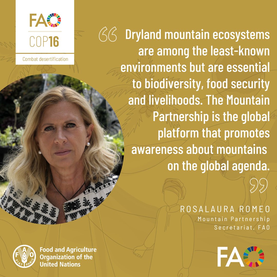 FAO Forestry tweet media