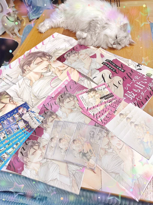 新刊ファインダーの溺愛の販促物を頂きました!コミコミさんの購入特典ちゃんと横向きに飾れてほんま素敵評判が良くて増産して頂きましたとらのあなさんの購入特典はシーツまでイラスト全体が印刷されたポストカードです 是非この機会にゲットしてくださいね #ファインダーの溺愛