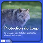 Photo by Europe Direct Territoires Lorrains (@EuropeDirectCTG)