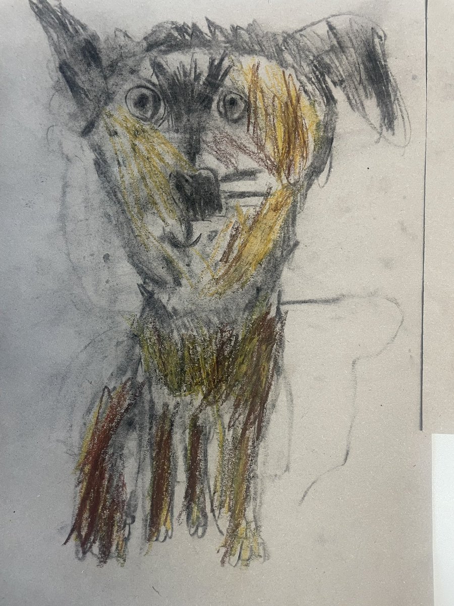 St Mark's School tweet media