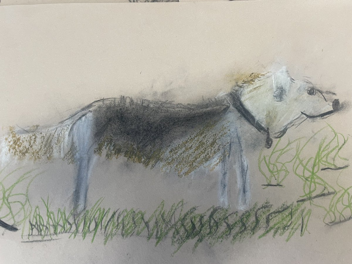 St Mark's School tweet media