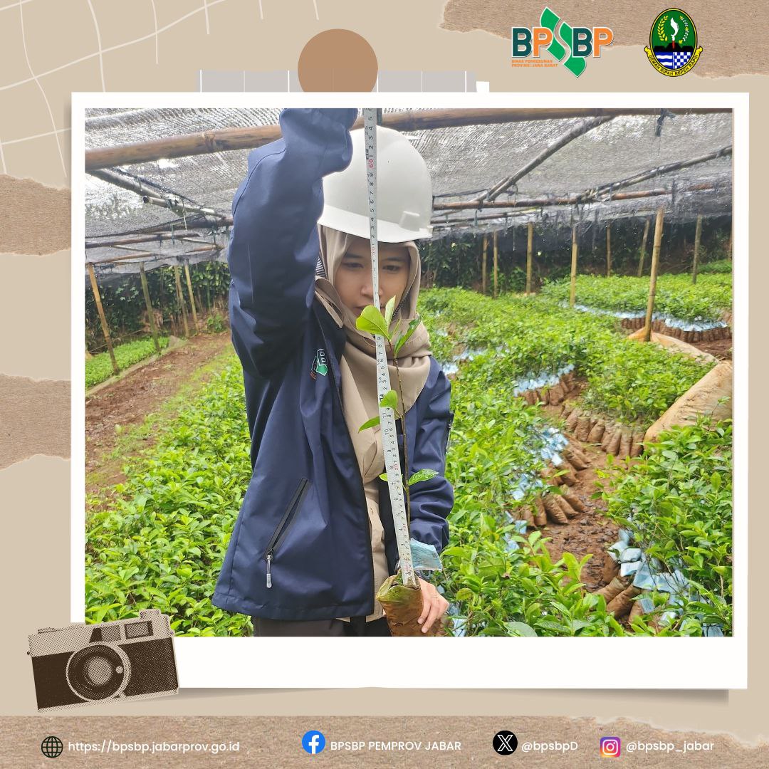 BPSBP.DisbunJabar tweet media