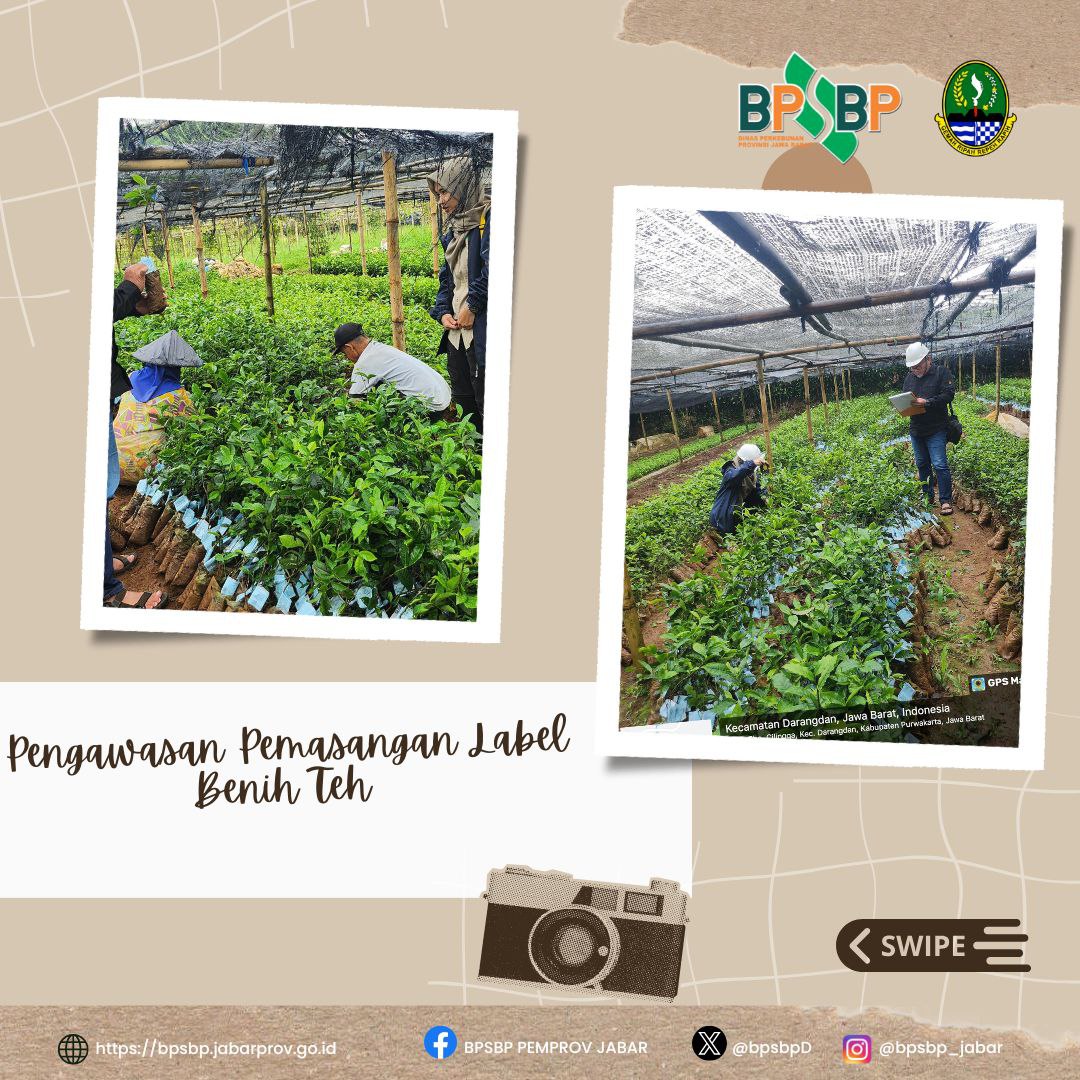 BPSBP.DisbunJabar tweet media