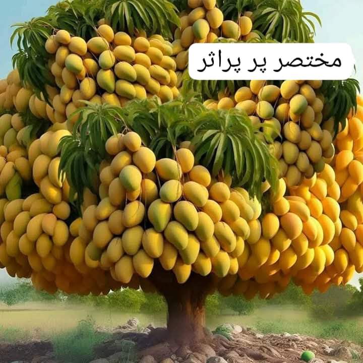 *علم اور عمل کی مثال۔۔۔۔*

*🍃 علم ایک درخت ہے، الفاظ اسکے پتے ہیں۔*
*اور عمل اسکا پھل ہے۔*
 🌸 *اب انسان کی مرضی ہے علم پر جتنا زیادہ عمل کرے گا اتنا زیادہ میٹھا اور شیریں پھل پاۓ گا۔۔۔۔*