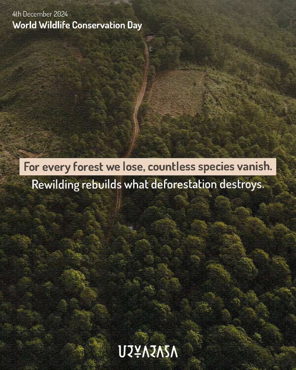 Urvarasa tweet media