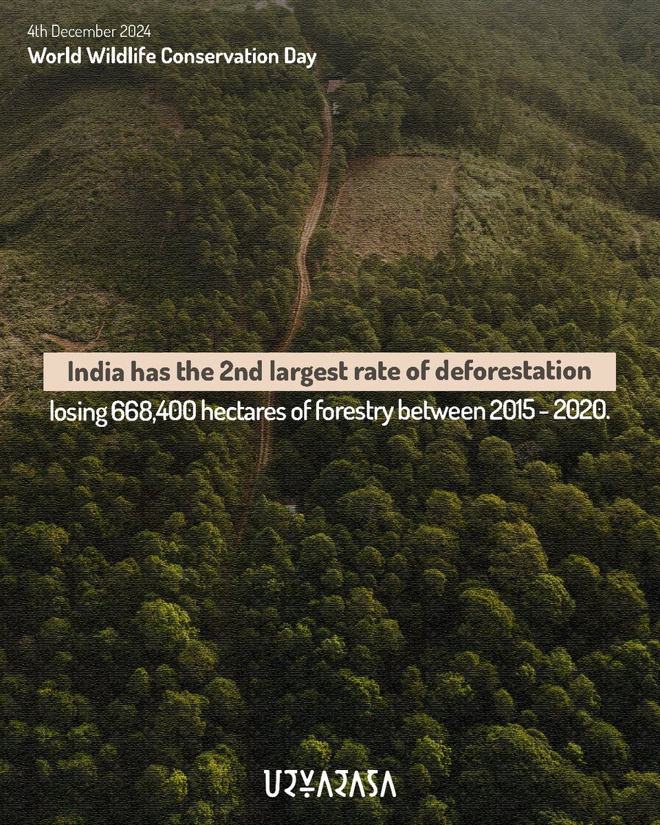 Urvarasa tweet media