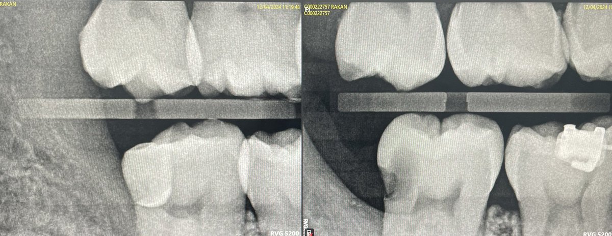 Motaz Almaghraby tweet media