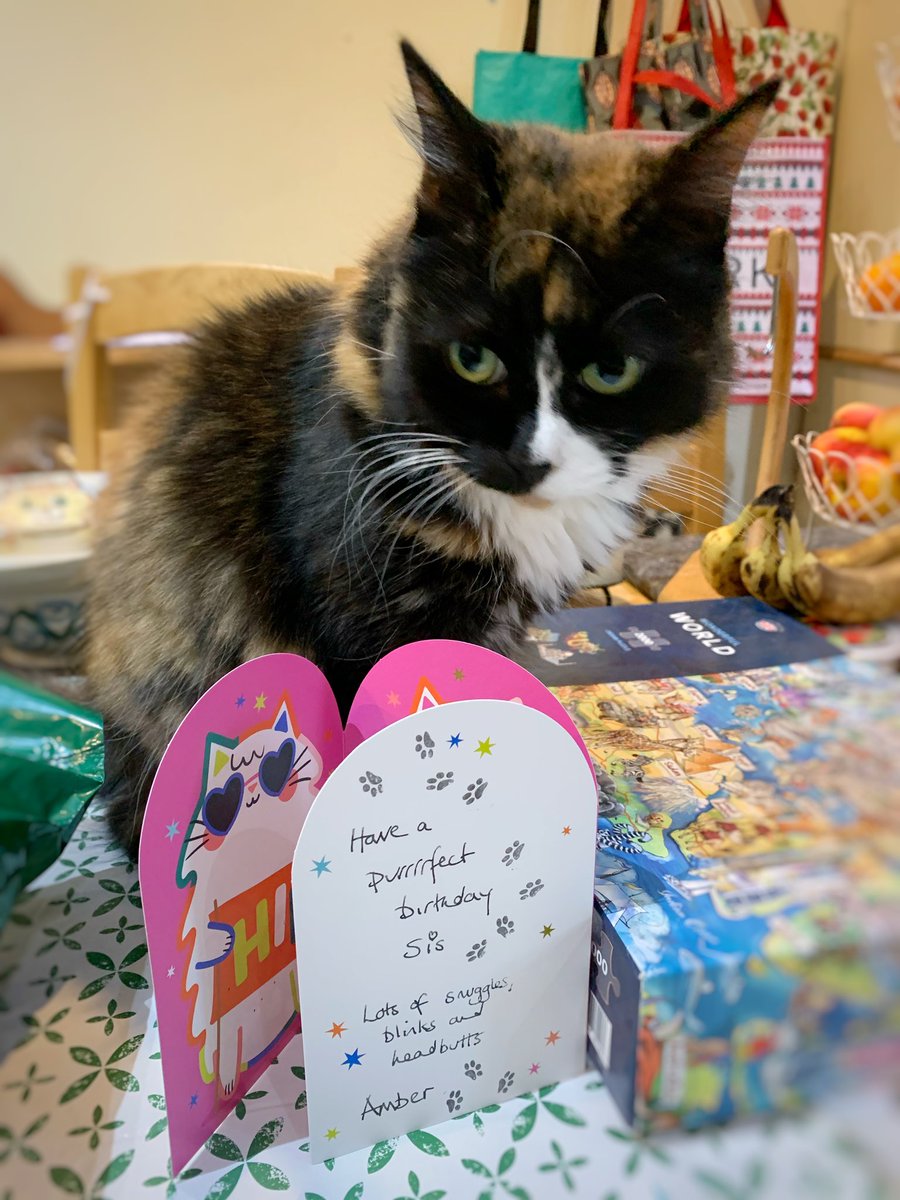 うちの猫はいつも私にバースデーカードを送ってくれる。