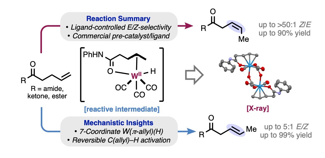 In time for the holidays ❄️🌴, the final peer-reviewed version of <a href="/W0TangClan/">Tanner Jankins</a>, @CamZRub, and team's study on W(0)-catalyzed kinetic isomerization is now in press <a href="/ChemicalScience/">Chemical Science</a>! 

pubs.rsc.org/en/content/art…
