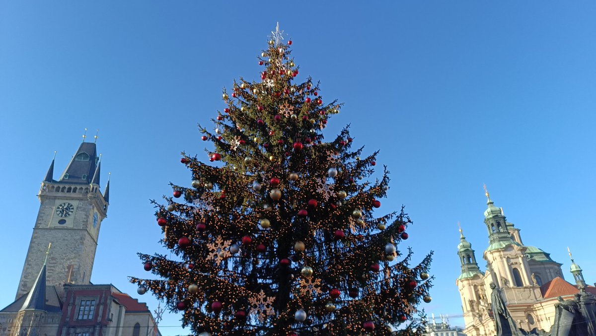 profnes's tweet image. Ёлочку поставили!